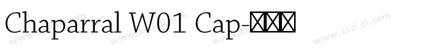 Chaparral W01 Cap字体转换